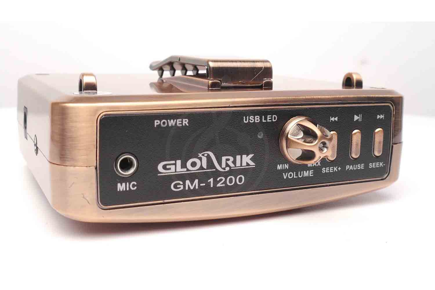 Радиосистема с головным микрофоном Радиосистемы с головным микрофоном GLORIK GLORIK GM1200A Портативный громкоговоритель в комплекте с головной гарнитурой, с креплением на пояс GM1200A - фото 5