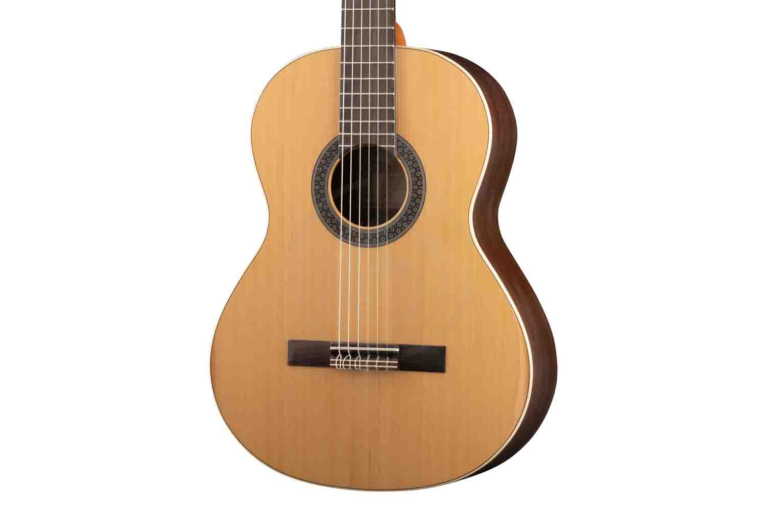 Классическая гитара 4/4 Alhambra 799 1C HT 4/4 - Классическая гитара 4/4, с чехлом , Alhambra 799 1C HT 4/4 в магазине DominantaMusic - фото 2