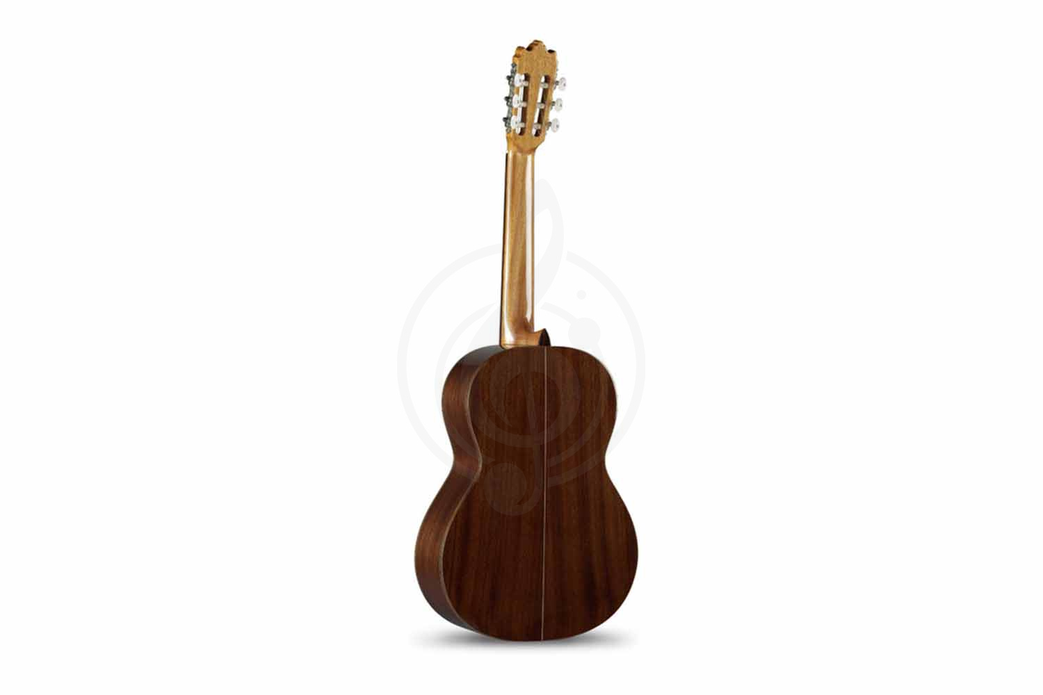 Классическая гитара 4/4 Классические гитары 4/4 Alhambra Alhambra 804-3С Classical Student 3C - Классическая гитара 804-3С - фото 3