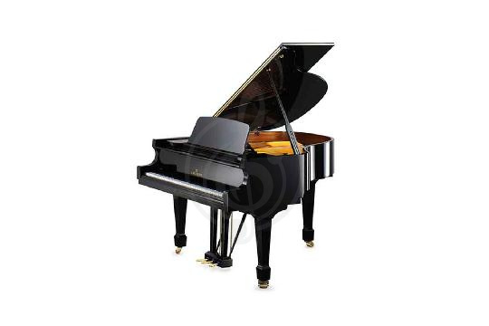Акустический рояль Bechstein B 160 BLP - Рояль акустический черный, полированный, Bechstein B 160 BLP в магазине DominantaMusic - фото 1