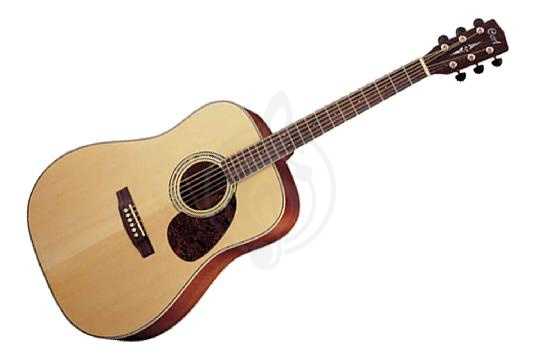 Акустическая гитара Акустические гитары Cort Cort EARTH100-NS Earth Series - Акустическая гитара EARTH100-NS - фото 1