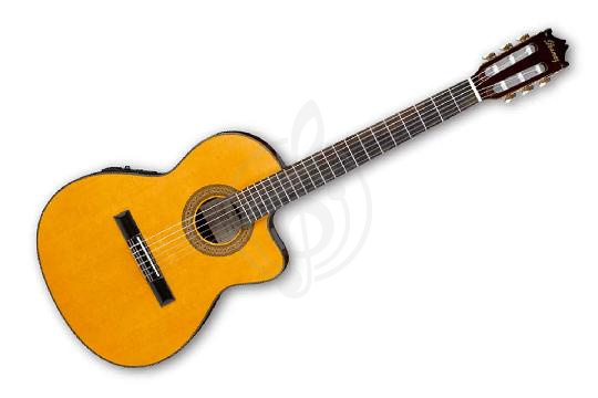 Изображение IBANEZ GA5TCE-AM - Электроакустическая гитара