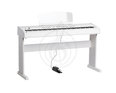 Изображение Orla 438PIA0704 Stage Studio Цифровое пианино, белое, со стойкой 