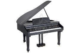 Цифровой рояль Цифровые рояли Orla Orla Grand 450 Black - Цифровой рояль c автоаккомпанементом Grand 450 Black - фото 1