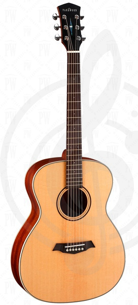 Акустическая гитара Акустические гитары Parkwood Parkwood S22-GT Акустическая гитара, с чехлом, глянец S22-GT - фото 1
