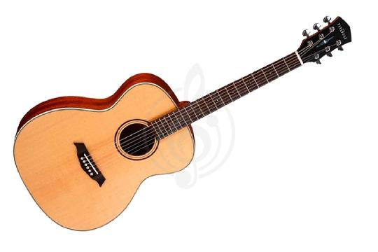 Акустическая гитара Акустические гитары Parkwood Parkwood S22-GT Акустическая гитара, с чехлом, глянец S22-GT - фото 1