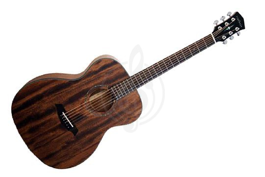 Акустическая гитара Акустические гитары Parkwood Parkwood S22M-NS акустическая гитара с чехлом, матовая S22M-NS - фото 1