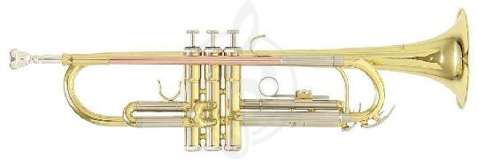 Труба Трубы Roy Benson ROY BENSON TR-202 Bb труба (цвет золото) TR-202 - фото 1