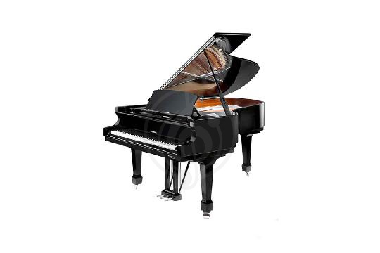 Акустический рояль W. Hoffmann Professional P 206 BLP - Рояль акустический черный, полированный , W. Hoffmann P 206 BLP в магазине DominantaMusic - фото 1