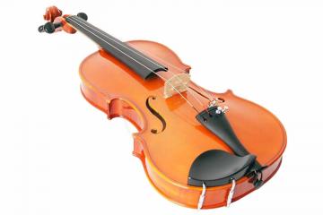 Скрипка 1/4 Скрипки 1/4 Strunal 1750-1/4 Скрипка концертная 1/4, Strunal - фото 3
