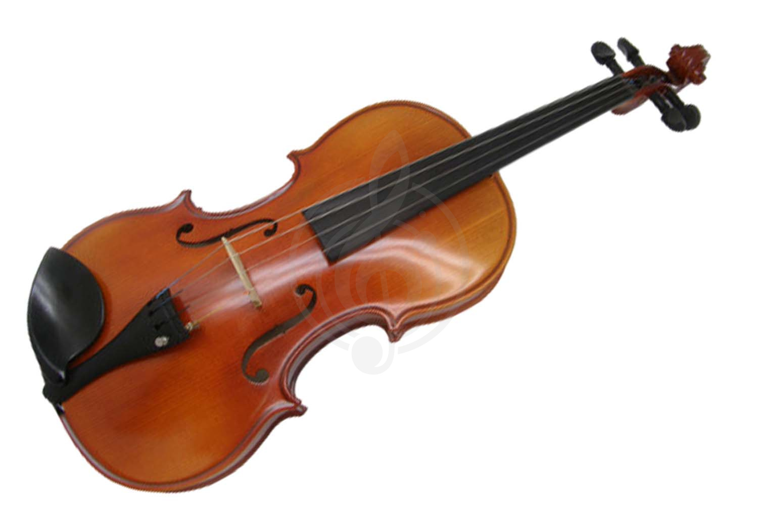 Скрипка 4/4 Скрипки 4/4 Strunal 22wA-4/4 Скрипка студенческая Strunal - фото 1