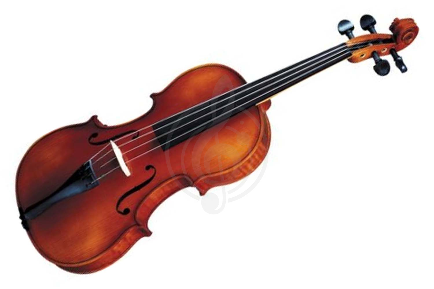 Скрипка 1/8 Скрипки 1/8 Strunal 260-1/8 Скрипка студенческая 1/8 Strunal - фото 1