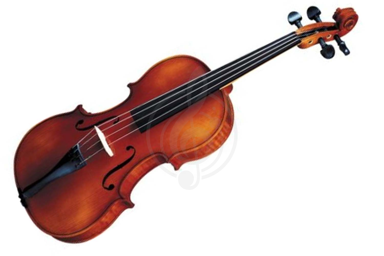 Скрипка 4/4 Скрипки 4/4 Strunal 260-4/4 Скрипка студенческая 4/4 Strunal - фото 1