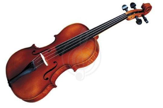 Скрипка 4/4 Скрипки 4/4 Strunal 260-4/4 Скрипка студенческая 4/4 Strunal - фото 1