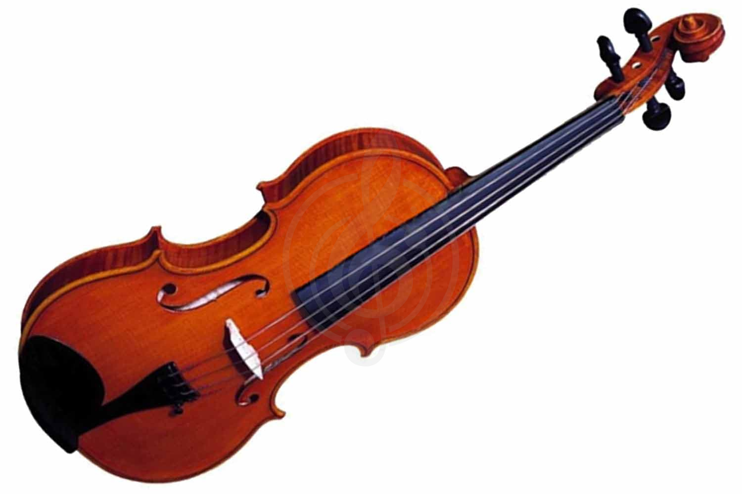 Скрипка 4/4 Скрипки 4/4 Strunal 3370 Концертная скрипка 4/4 Strunal 3370 - фото 2