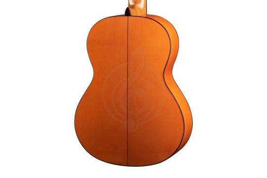 Классическая гитара 4/4 8.209 Flamenco Conservatory 4F Классическая гитара, Alhambra, Alhambra 8.209 Flamenco  в магазине DominantaMusic - фото 4