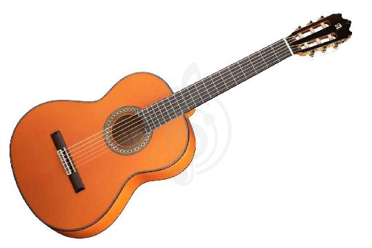 Изображение Классическая гитара Alhambra 8.209 Flamenco 