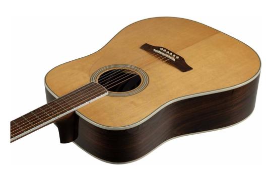 Акустическая гитара ADLER D100-SR - Гитара акустическая, ADLER D100-SR в магазине Доминанта мьюзик - фото 11