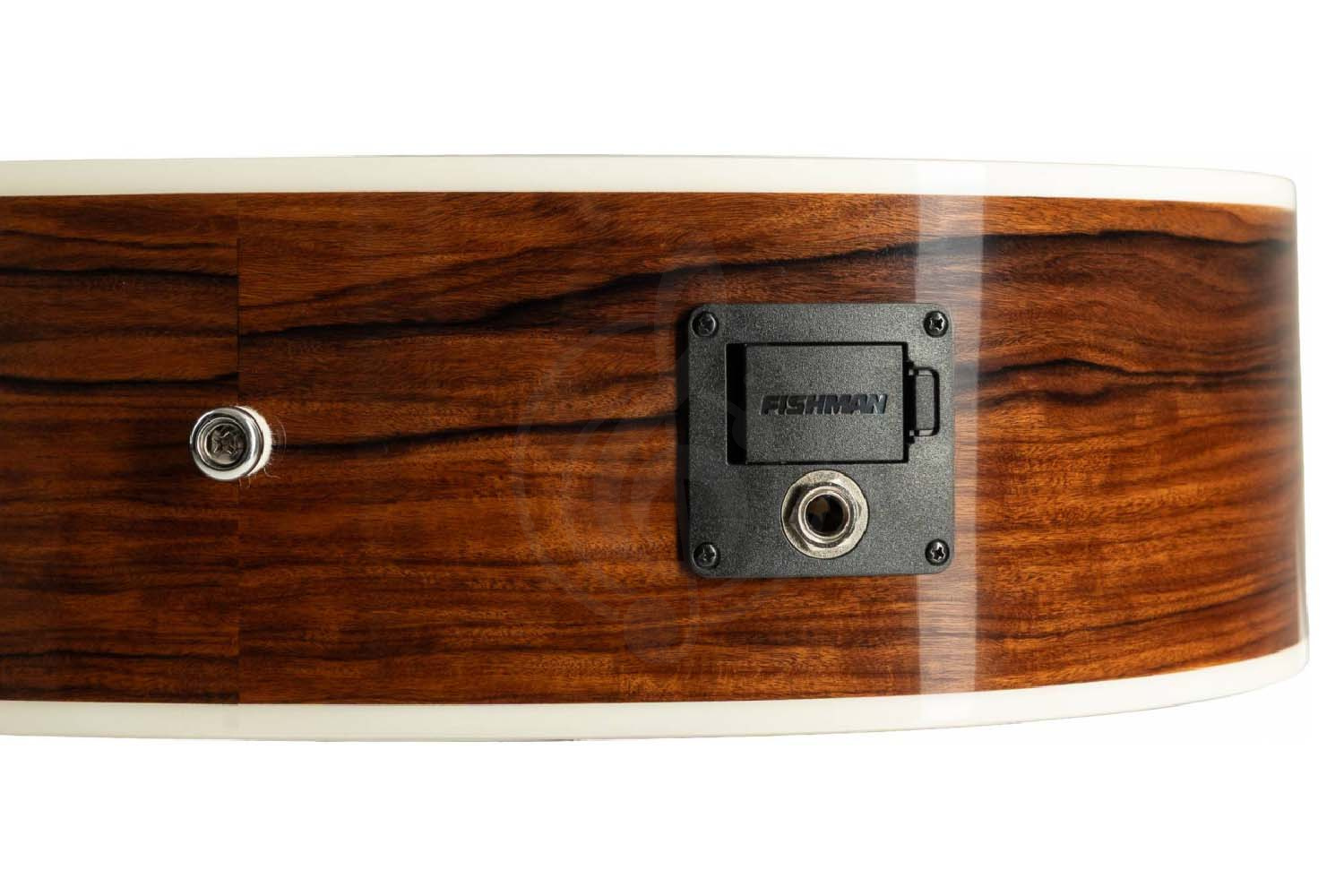 Электроакустическая гитара ADLER OME100-SR - Гитара электроакустическая, ADLER OME100-SR в магазине DominantaMusic - фото 11