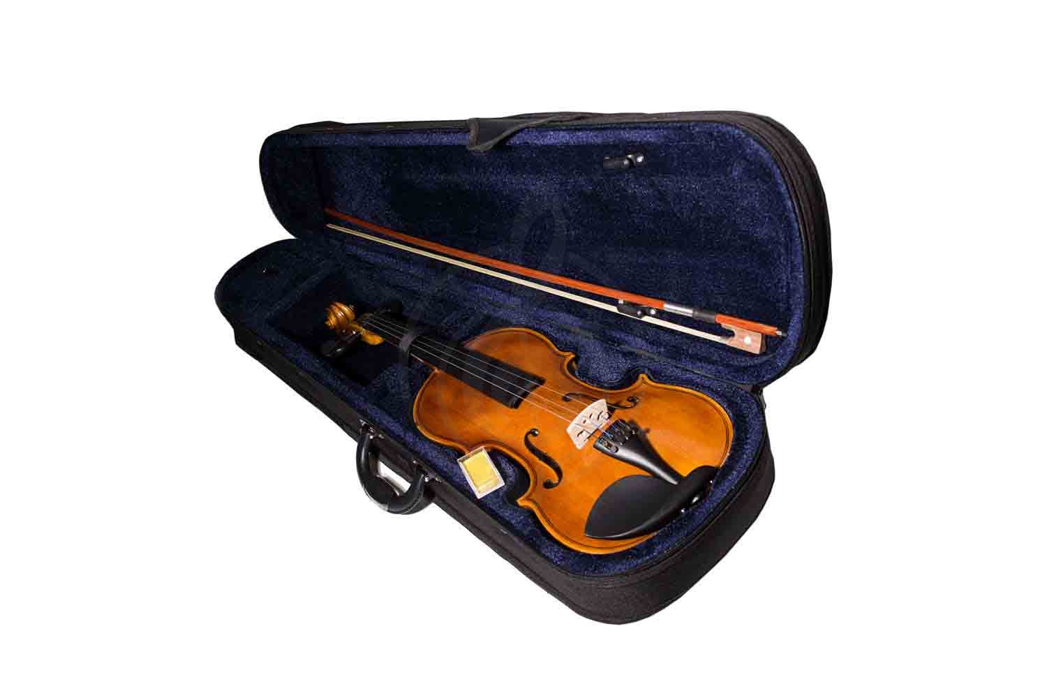 Скрипка 4/4 Aileen VG001HPM-4/4 - скрипка, размер 4/4, Aileen VG001HPM-4/4 в магазине Доминанта мьюзик - фото 3