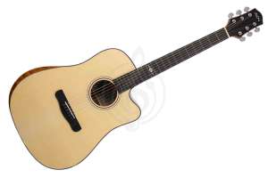 Изображение Акустическая гитара Aion Q20