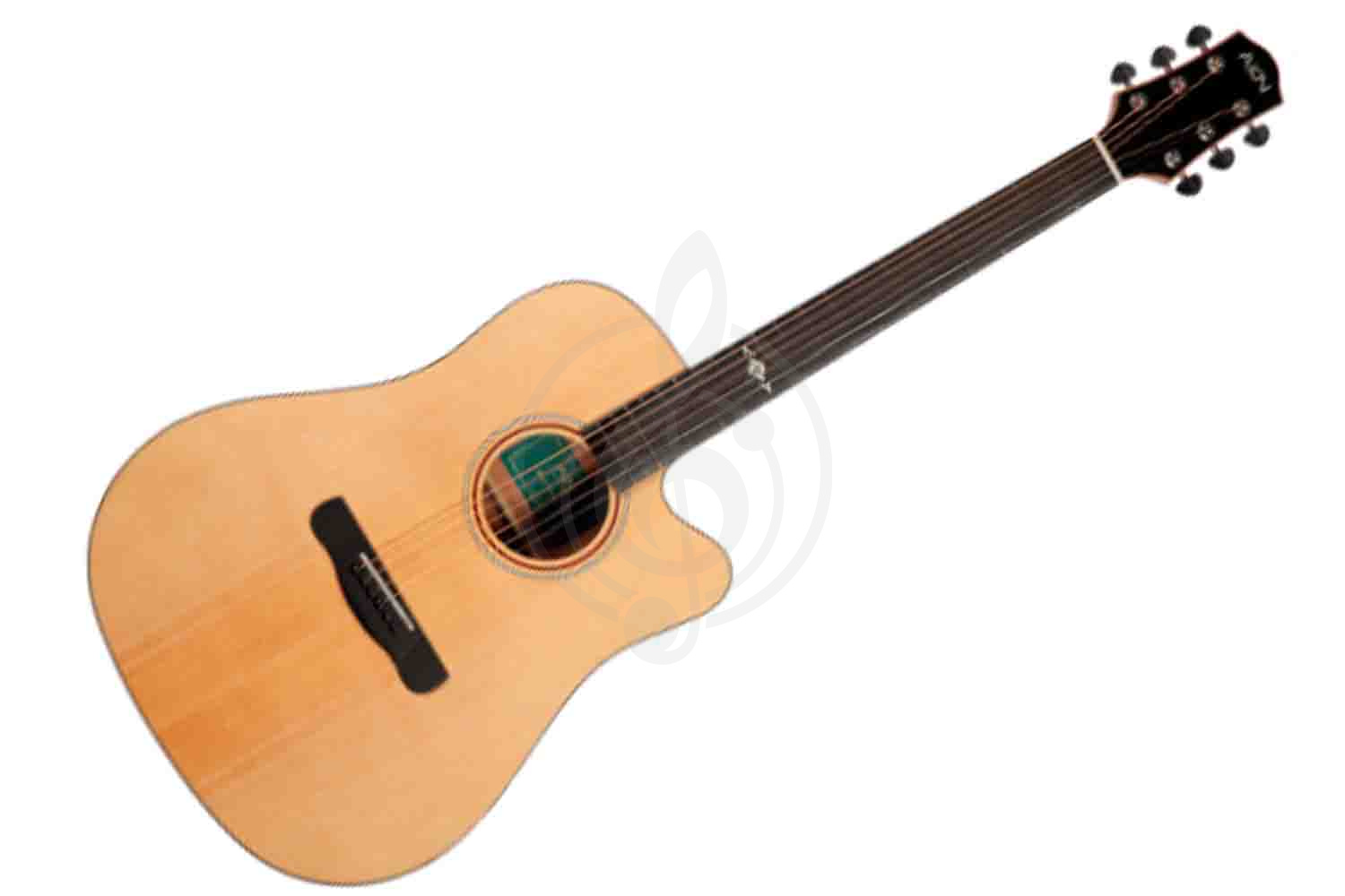 Акустическая гитара Aion X20 - Акустическая гитара,  X20 в магазине DominantaMusic - фото 1