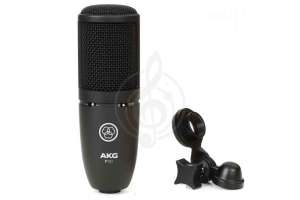 Изображение AKG P120