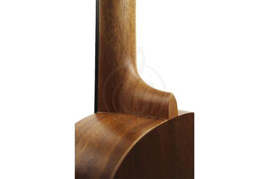 Укулеле концерт Alana U220C - Укулеле концерт, Alana U220C в магазине DominantaMusic - фото 2