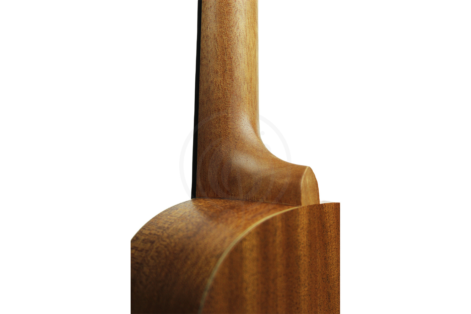 Укулеле концерт Alana U230C - Укулеле концерт, Alana U230C в магазине DominantaMusic - фото 2