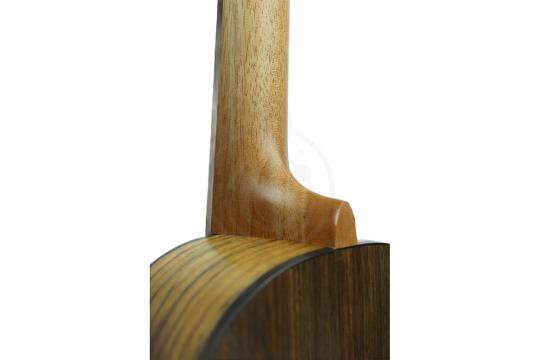 Укулеле концерт Alana U250C - Укулеле концерт, Alana U250C в магазине DominantaMusic - фото 2