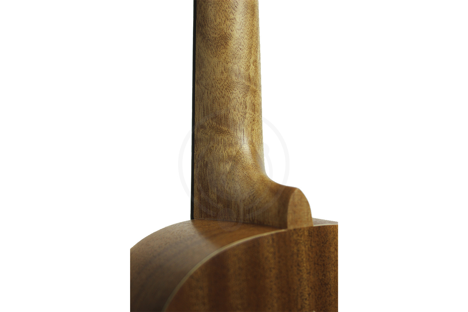 Укулеле концерт Alana U280C - Укулеле концерт, Alana U280C в магазине DominantaMusic - фото 2