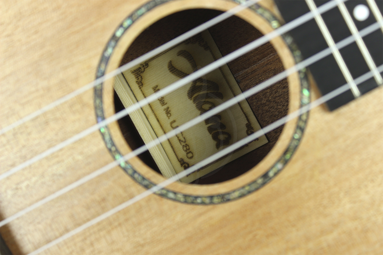 Укулеле концерт Alana U280C - Укулеле концерт, Alana U280C в магазине DominantaMusic - фото 5