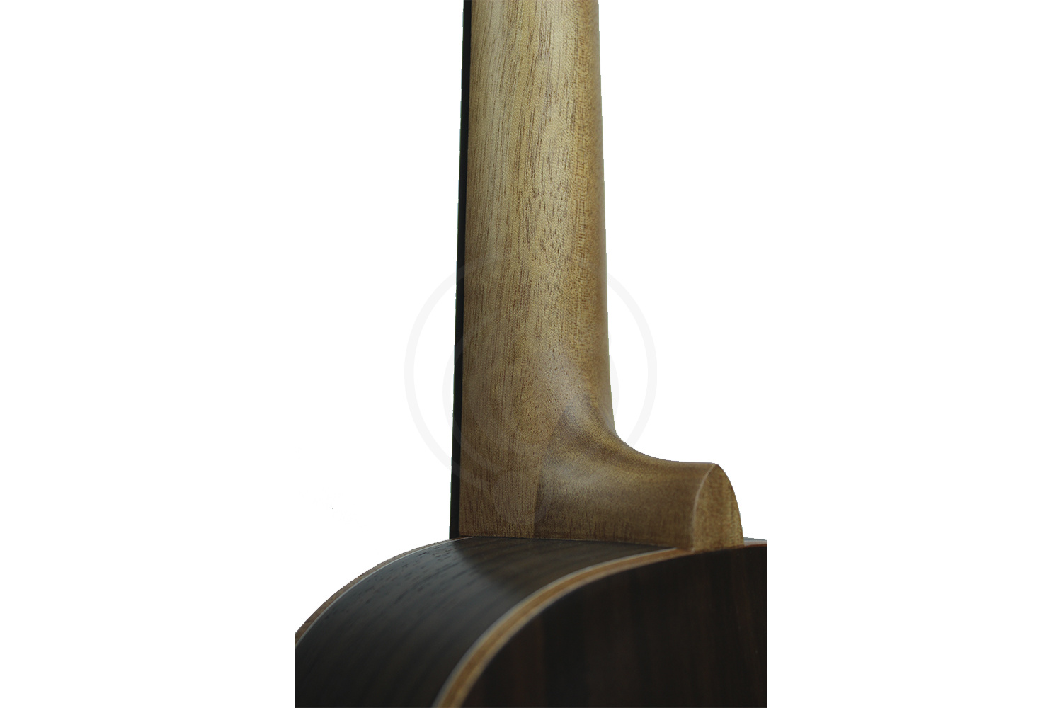 Укулеле концерт Alana U360C - Укулеле концерт, Alana U360C в магазине DominantaMusic - фото 3