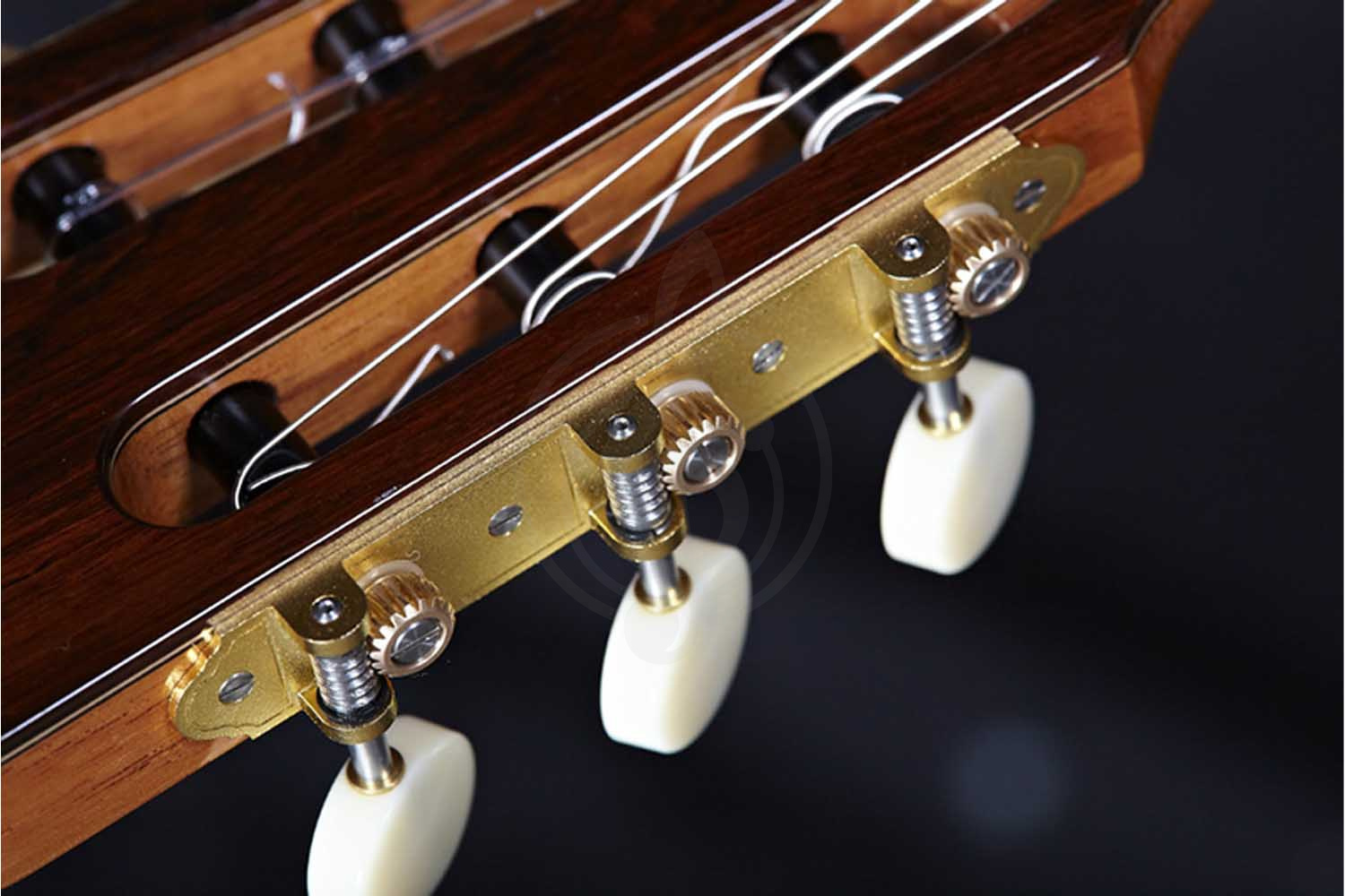 Классическая гитара 4/4 Alhambra 250 Jose Miguel Moreno Serie C - Классическая гитара, с футляром, Alhambra 250 Jose Miguel Moreno Serie C в магазине DominantaMusic - фото 10