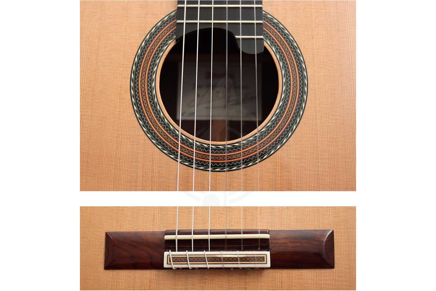 Классическая гитара 4/4 Alhambra 250 Jose Miguel Moreno Serie C - Классическая гитара, с футляром, Alhambra 250 Jose Miguel Moreno Serie C в магазине DominantaMusic - фото 15