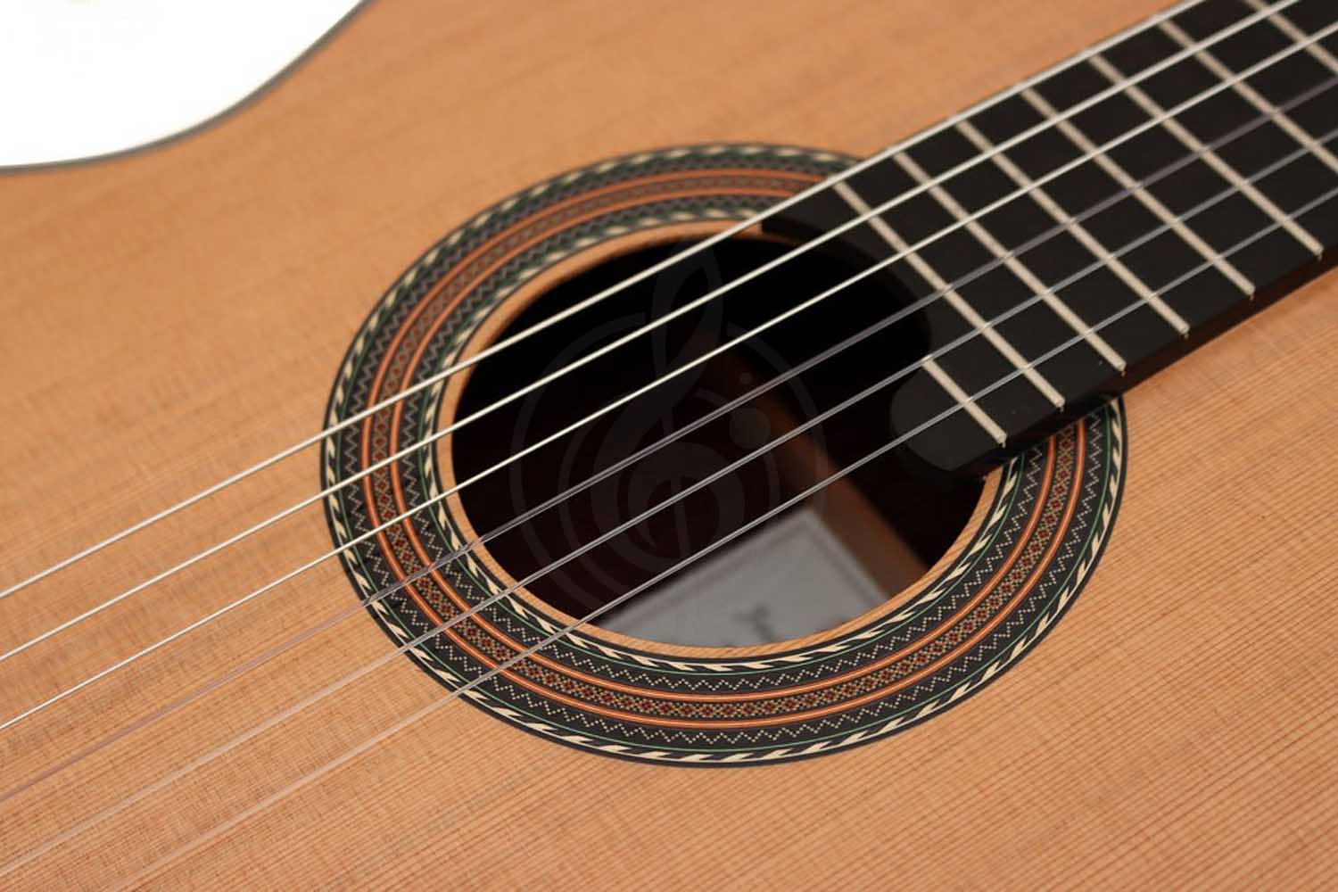 Классическая гитара 4/4 Alhambra 250 Jose Miguel Moreno Serie C - Классическая гитара, с футляром, Alhambra 250 Jose Miguel Moreno Serie C в магазине DominantaMusic - фото 16