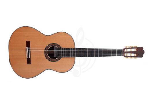 Классическая гитара 4/4 Alhambra 250 Jose Miguel Moreno Serie C - Классическая гитара, с футляром, Alhambra 250 Jose Miguel Moreno Serie C в магазине DominantaMusic - фото 6