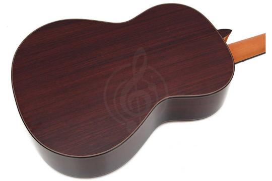 Классическая гитара 4/4 Alhambra 250 Jose Miguel Moreno Serie C - Классическая гитара, с футляром, Alhambra 250 Jose Miguel Moreno Serie C в магазине DominantaMusic - фото 14