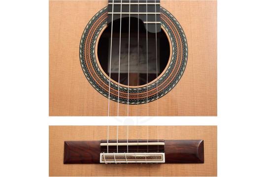 Классическая гитара 4/4 Alhambra 250 Jose Miguel Moreno Serie C - Классическая гитара, с футляром, Alhambra 250 Jose Miguel Moreno Serie C в магазине DominantaMusic - фото 15