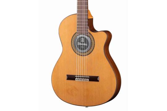 Классическая гитара 4/4 Alhambra 6.856 Cutaway 3C CT - Классическая гитара, Alhambra 6.856 Cutaway 3C CT в магазине DominantaMusic - фото 7
