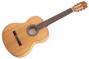 Изображение 8.201 Flamenco Student 2F