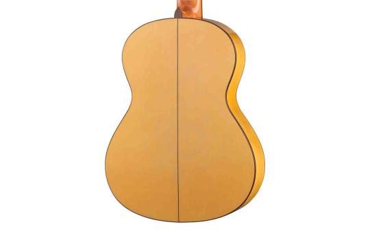 Классическая гитара 4/4 Alhambra 8.206 Flamenco Student 3F - Классическая гитара, Alhambra 8.206 Flamenco Student 3F в магазине DominantaMusic - фото 3