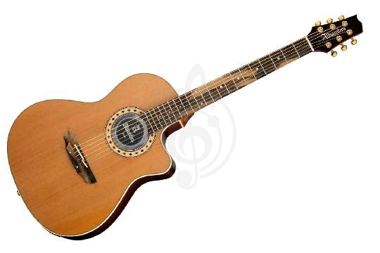 Изображение Классическая гитара 4/4 Alhambra 8.779V