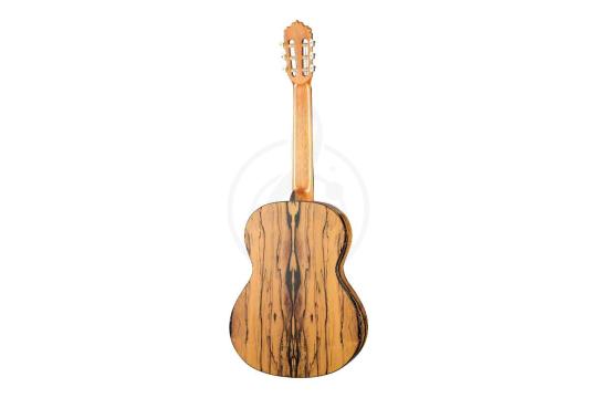 Классическая гитара 4/4 Alhambra 8.891V Classical Conservatory 6 White Ebony - Классическая гитара, Alhambra 8.891V в магазине DominantaMusic - фото 7