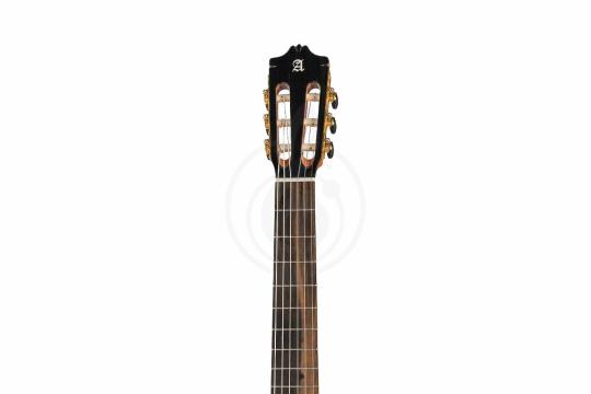 Классическая гитара 4/4 Alhambra 8.895 Green Sustain Clasical - Классическая гитара, Alhambra 8.895 Green Sustain Clasical в магазине Доминанта мьюзик - фото 5