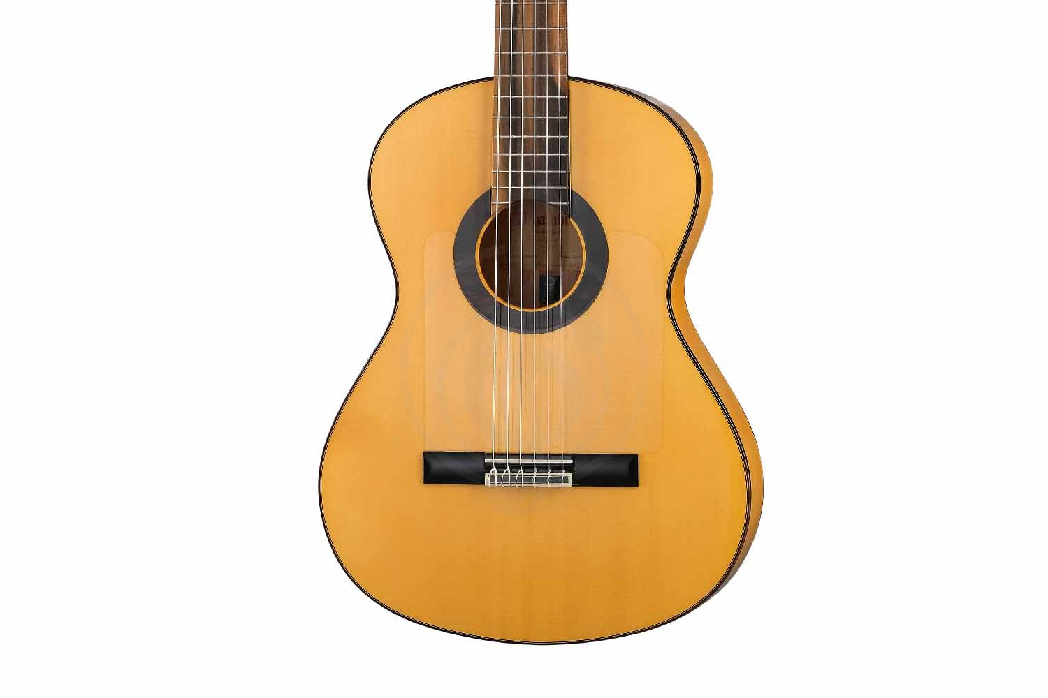 Классическая гитара 4/4 Alhambra 8.896 Green Sustain Flamenco - Классическая гитара, Alhambra 8.896 Green Sustain Flamenco в магазине Доминанта мьюзик - фото 6