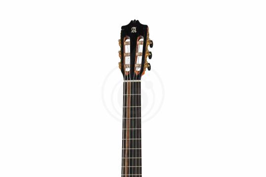 Классическая гитара 4/4 Alhambra 8.897 Green Sustain CTW E8 - Классическая гитара, Alhambra 8.897 Green Sustain CTW E8 в магазине Доминанта мьюзик - фото 6