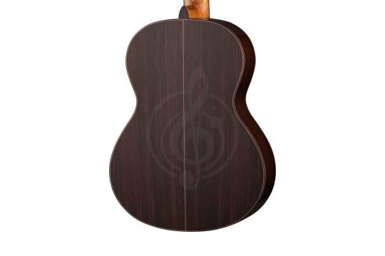 Классическая гитара 4/4 Alhambra 847 Classical Conservatory Senorita 5P - Классическая гитара 7/8, Alhambra 847 в магазине DominantaMusic - фото 4