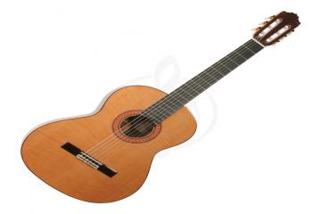 Классическая гитара 4/4 Классические гитары 4/4 Almansa ALMANSA 435 Cedar гитара классическая  435 Cedar - фото 3