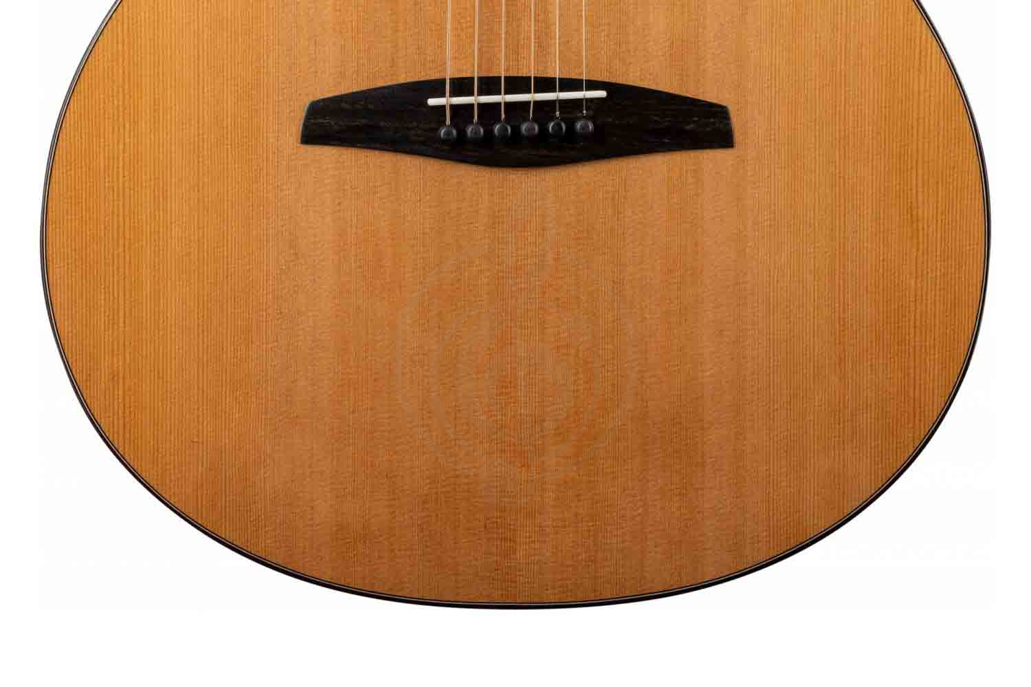 Акустическая гитара ALTAMIRA AGA-15 - Акустическая гитара, ALTAMIRA AGA-15 в магазине DominantaMusic - фото 14
